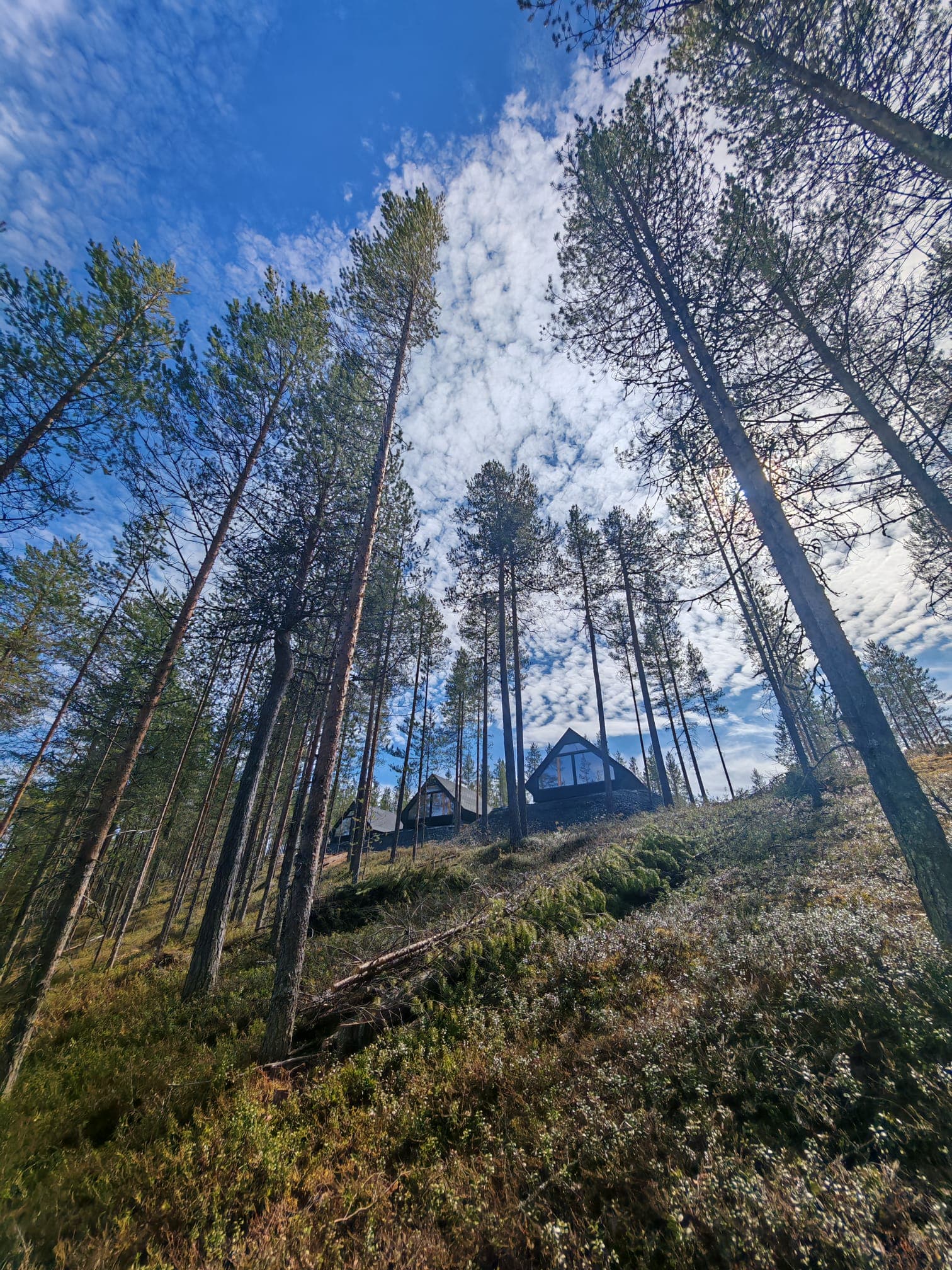 Revontulimökki, kuva 8/8